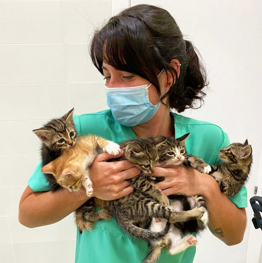 Cl’inica Veterinaria Marvet – Foios