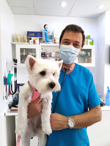 Clínica Veterinaria Mascotas – Llucmajor