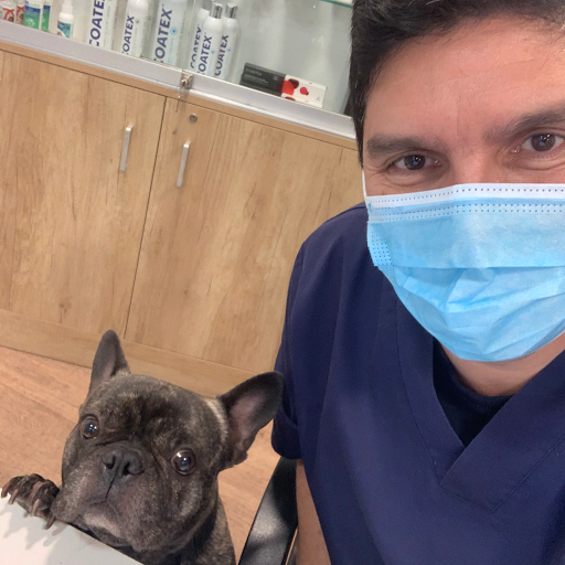 Clínica Veterinaria Mascotiti Barrio Salamanca – Madrid