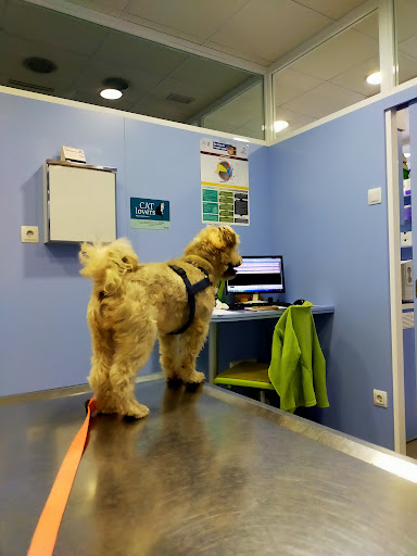 Clínica Veterinaria Mascots (Veteralia) – Sant Celoni