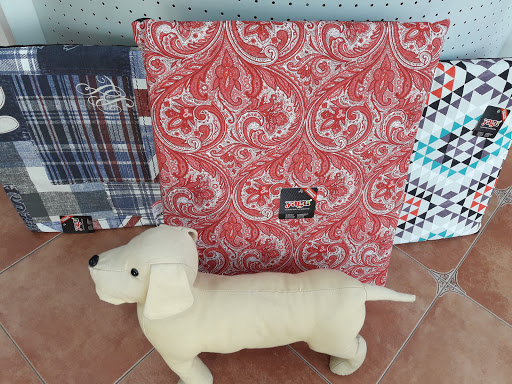 Clínica Veterinaria Mascovet – Posadas