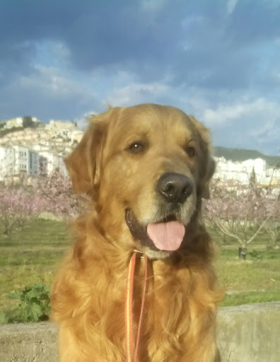 Clínica Veterinaria Mediterráneo – Cenes de la Vega