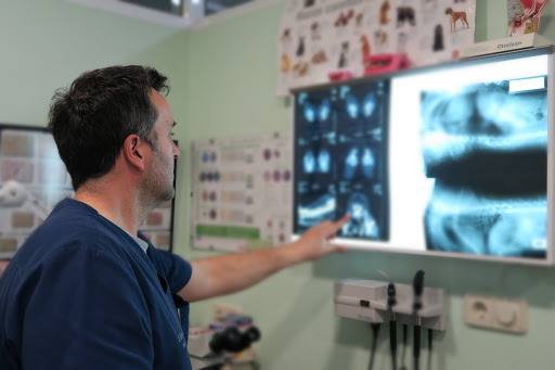 Clínica Veterinaria Melide – Melide