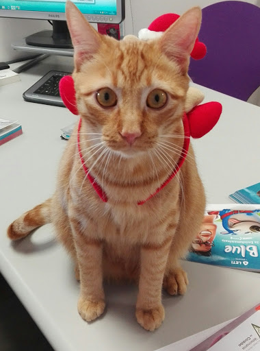 Clínica Veterinaria Menci – Córdoba