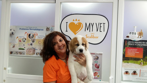 Clínica Veterinaria Méntrida – Méntrida