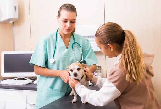 Clínica Veterinaria Més Que Gossos – Santa Coloma de Gramenet