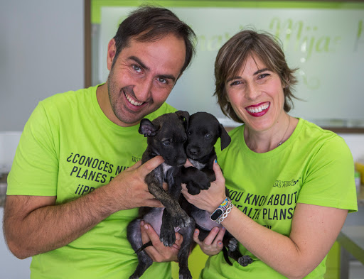 Clínica Veterinaria Mijas Pueblo – Mijas
