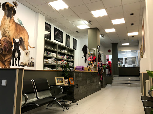 Clínica Veterinaria «Mini» – Madrid