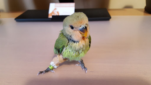 Clínica Veterinaria Miño – Miño