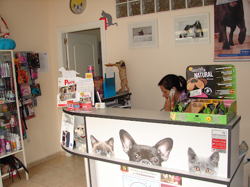 Clínica Veterinaria Mobile Vet – San Pedro de Alcántara