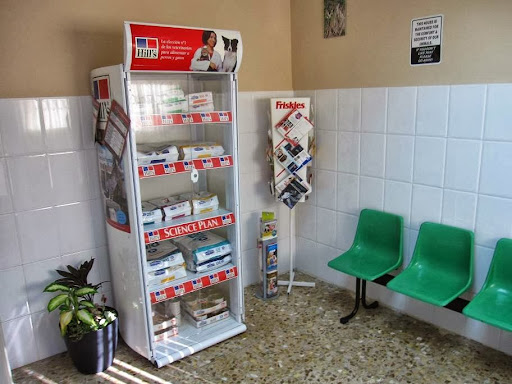 Clínica Veterinaria Monsalud Peluquería Canina – Zaragoza