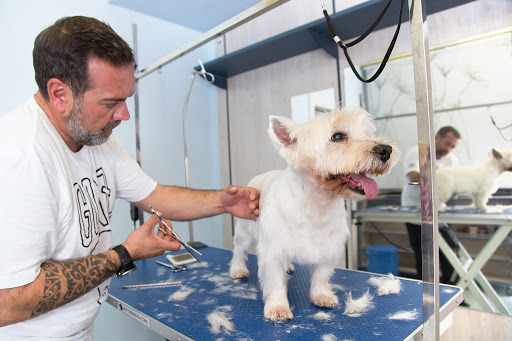 Clínica Veterinaria Montecanal – Zaragoza
