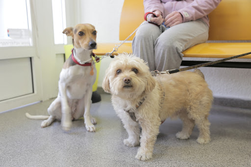 Clínica Veterinaria Monteolivete – Valencia