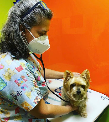 Clínica Veterinaria Montornés – Montornès del Vallès