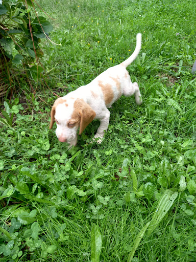 Clínica Veterinaria Moraña – Santa Margarida