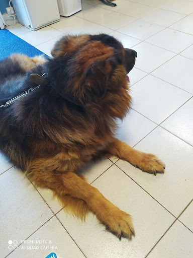 Clínica Veterinaria Mourente – Mourente