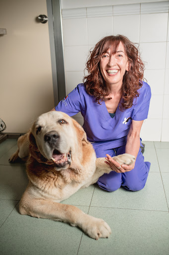 Clínica Veterinaria Nanclares de La Oca – Nanclares de la Oca