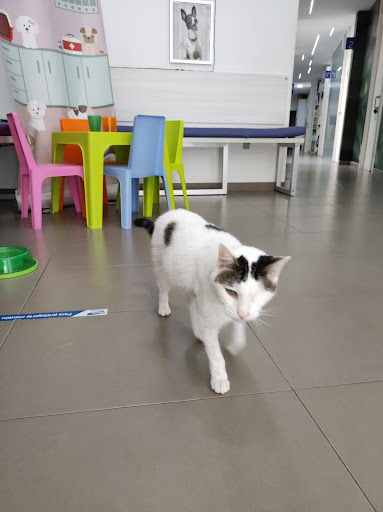 Clínica Veterinaria Natura Veterinaris – Alzira