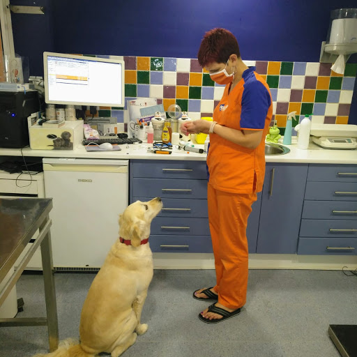 Clínica Veterinaria Nexo Pego – Pego