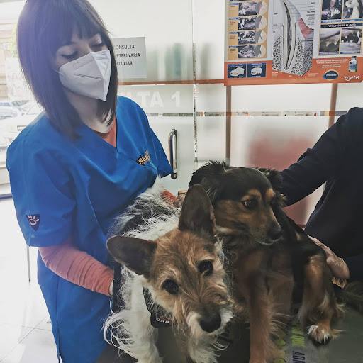 Clínica Veterinaria Nexo Puerto Lumbreras – Puerto Lumbreras