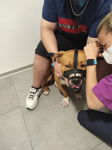 Clínica Veterinaria Nueve Vidas – Quart de Poblet