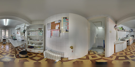 Clínica Veterinaria O Salnés – Caldas de Reis