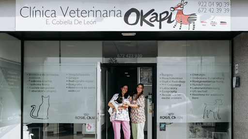 Clínica Veterinaria Okapi – Guía de Isora