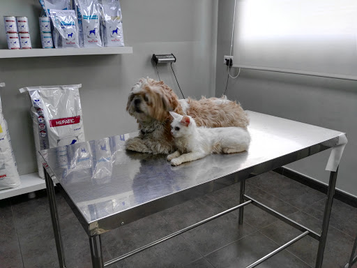 Clínica Veterinaria Olucha – Onda