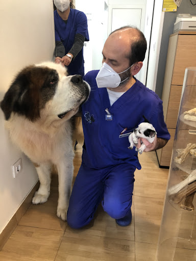 Clínica Veterinaria «Pablo Clinic» – San Vicente de la Barquera