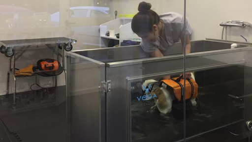 Clínica Veterinaria Padilla – Madrid