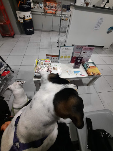 Clínica Veterinaria Palacios – Madrid