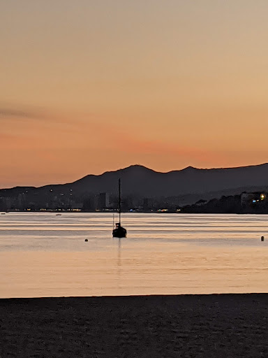 Clínica Veterinaria Palamós S.l. – Palamós