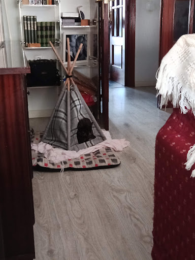 Clínica Veterinaria Parque Guadiana C S – Badajoz