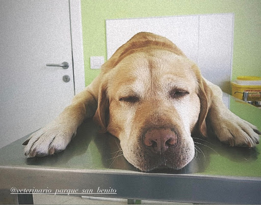 Clínica Veterinaria Parque San Benito – San Cristobal de La Laguna (San Benito)