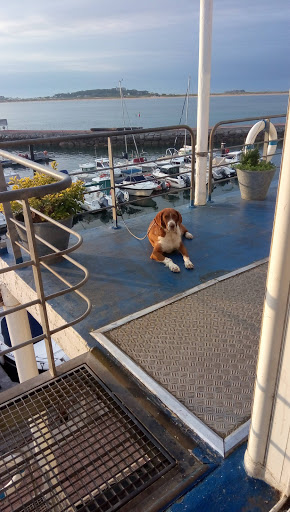 Clínica Veterinaria Pedreña – Pedreña