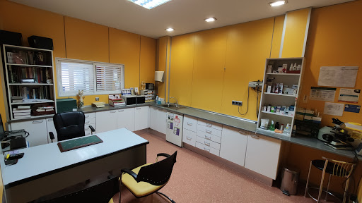 Clínica Veterinaria Pelícano – Madrid