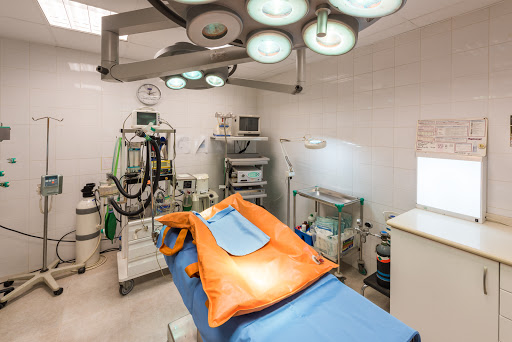 Clínica Veterinaria Pi Gros – Castellón de la Plana