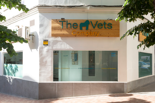 Clínica Veterinaria Pilar de Zaragoza – The Gorilla Vets Company – Madrid