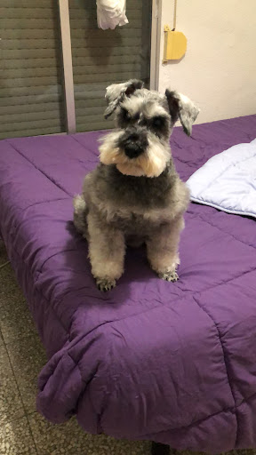 Clínica Veterinaria Pluto – Murcia