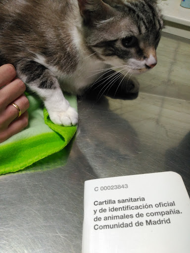 Clínica Veterinaria Plutos – Madrid