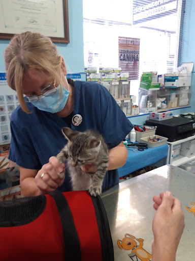 Clínica Veterinaria Ponferrada – Ponferrada