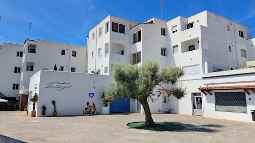 Clínica Veterinaria Port Des Torrent – Sant Josep de sa Talaia