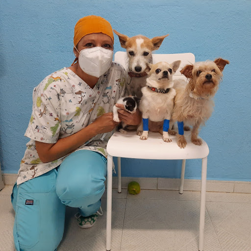 Clínica Veterinaria Portacoeli – Sevilla