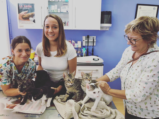 Clínica Veterinaria Prat de Cunit – Cunit