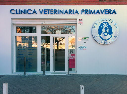 Clínica Veterinaria Primavera – Granada