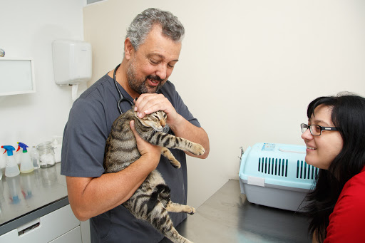 Clínica Veterinaria Príncipe Pío – The Gorilla Vets Company – Madrid