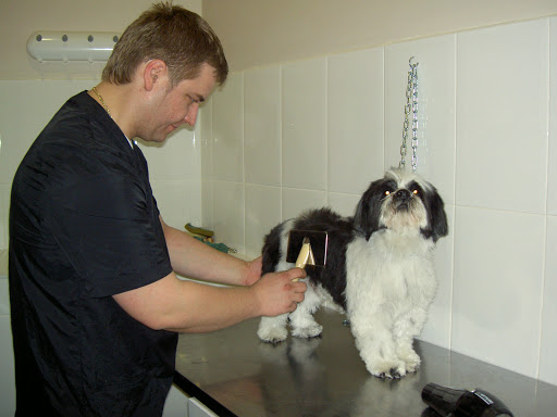 Clínica Veterinaria Pu Can – Madrid