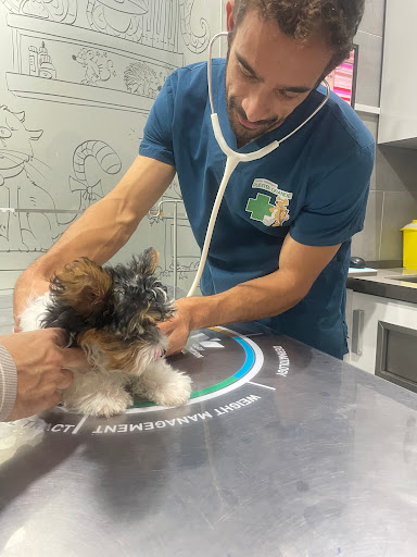 Clínica Veterinaria Puerta Grande – El Puerto de Santa María