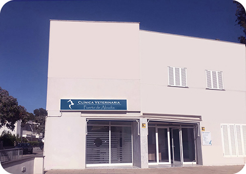 Clínica Veterinaria Puerto de Alcudia – Port d’Alcúdia