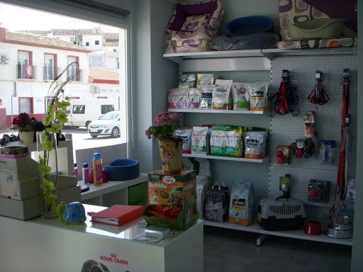 Clínica Veterinaria Quípar – Calasparra